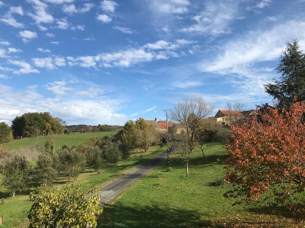 Les Cedres Du Linard, Chambres D'Hotes B&B Near Lascaux, Montignac, Sarlat-La-Caneda, Dordogne La Chapelle-Aubareil Zewnętrze zdjęcie