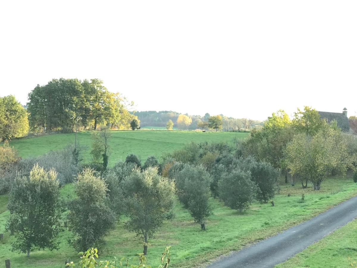 Les Cedres Du Linard, Chambres D'Hotes B&B Near Lascaux, Montignac, Sarlat-La-Caneda, Dordogne La Chapelle-Aubareil Zewnętrze zdjęcie