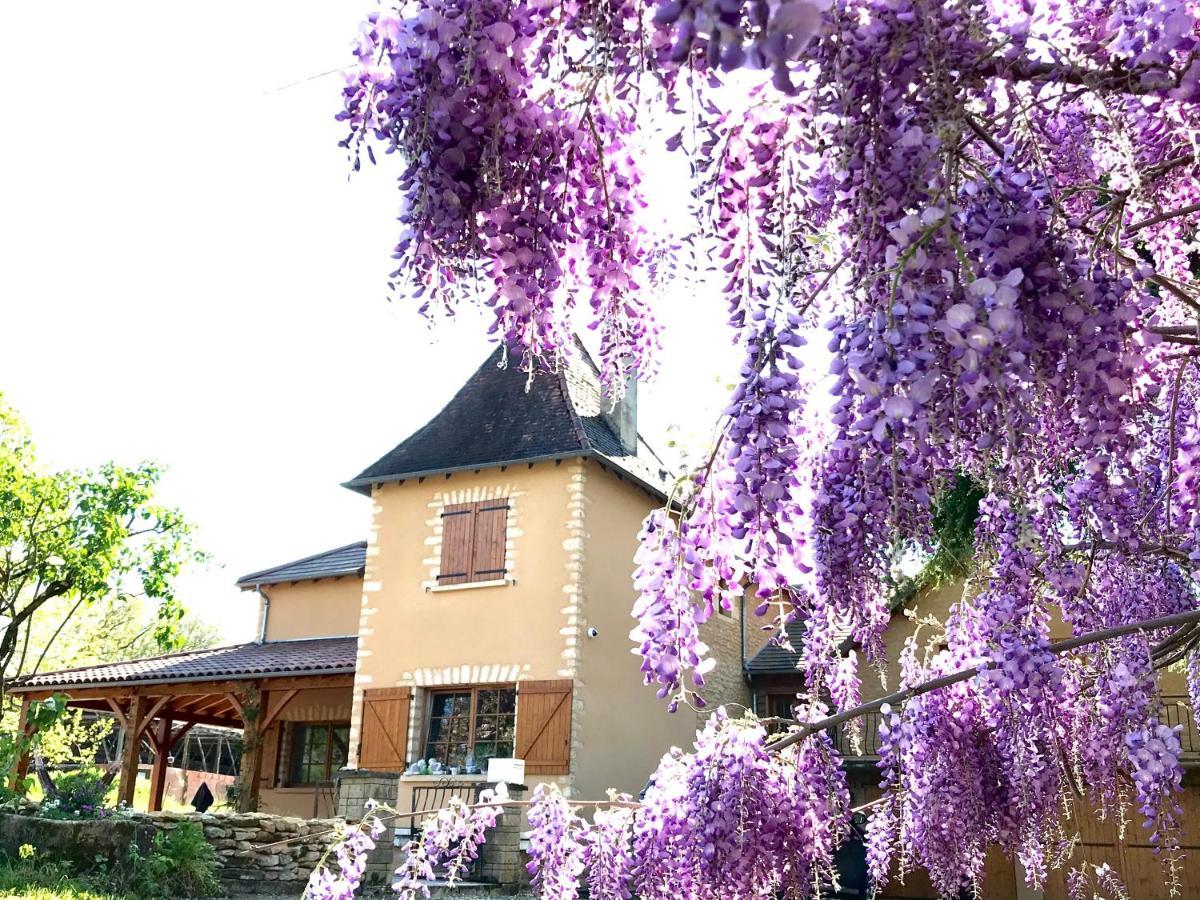 Les Cedres Du Linard, Chambres D'Hotes B&B Near Lascaux, Montignac, Sarlat-La-Caneda, Dordogne La Chapelle-Aubareil Zewnętrze zdjęcie