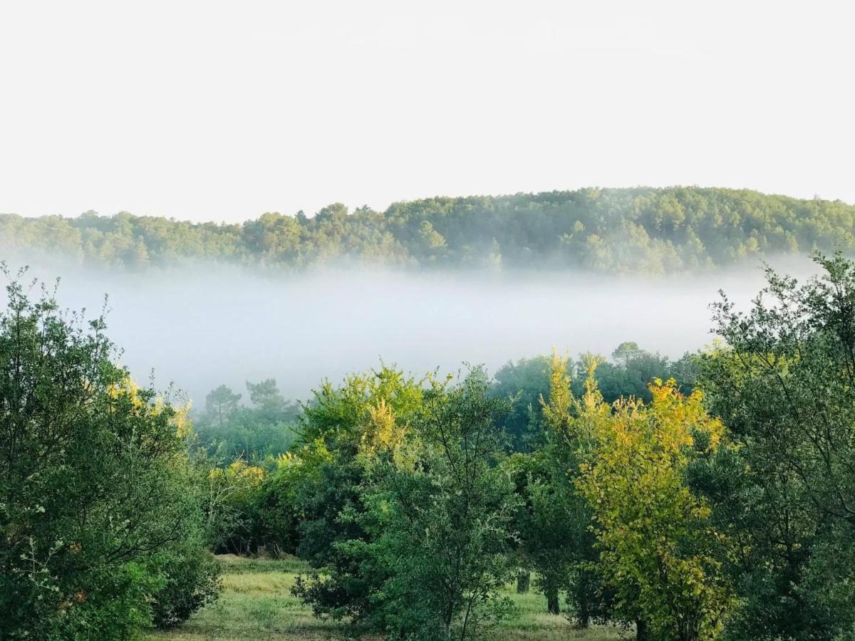 Les Cedres Du Linard, Chambres D'Hotes B&B Near Lascaux, Montignac, Sarlat-La-Caneda, Dordogne La Chapelle-Aubareil Zewnętrze zdjęcie