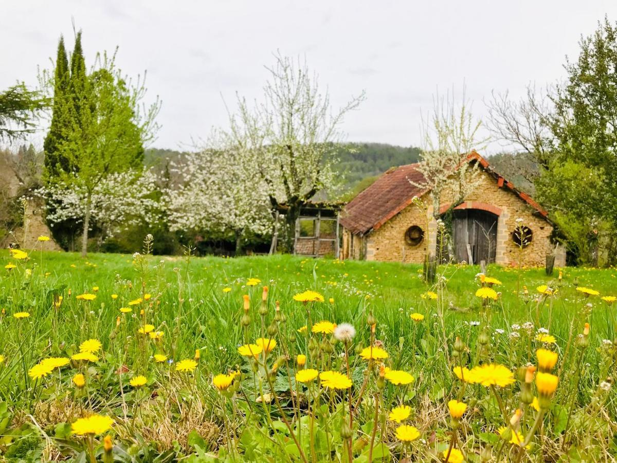 Les Cedres Du Linard, Chambres D'Hotes B&B Near Lascaux, Montignac, Sarlat-La-Caneda, Dordogne La Chapelle-Aubareil Zewnętrze zdjęcie