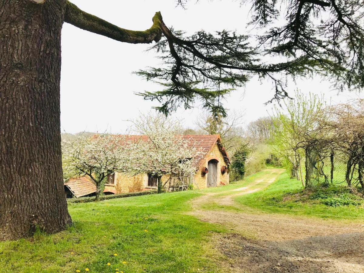 Les Cedres Du Linard, Chambres D'Hotes B&B Near Lascaux, Montignac, Sarlat-La-Caneda, Dordogne La Chapelle-Aubareil Zewnętrze zdjęcie