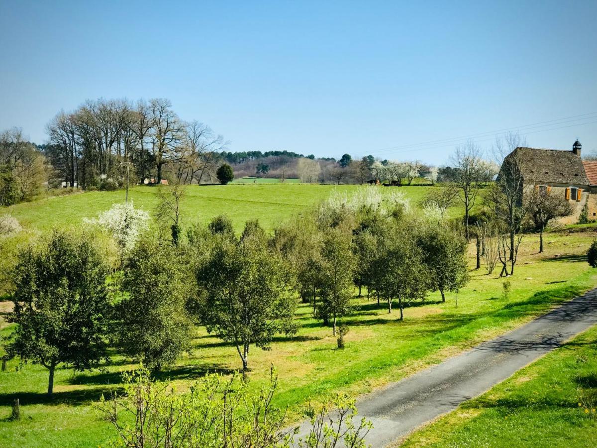 Les Cedres Du Linard, Chambres D'Hotes B&B Near Lascaux, Montignac, Sarlat-La-Caneda, Dordogne La Chapelle-Aubareil Zewnętrze zdjęcie