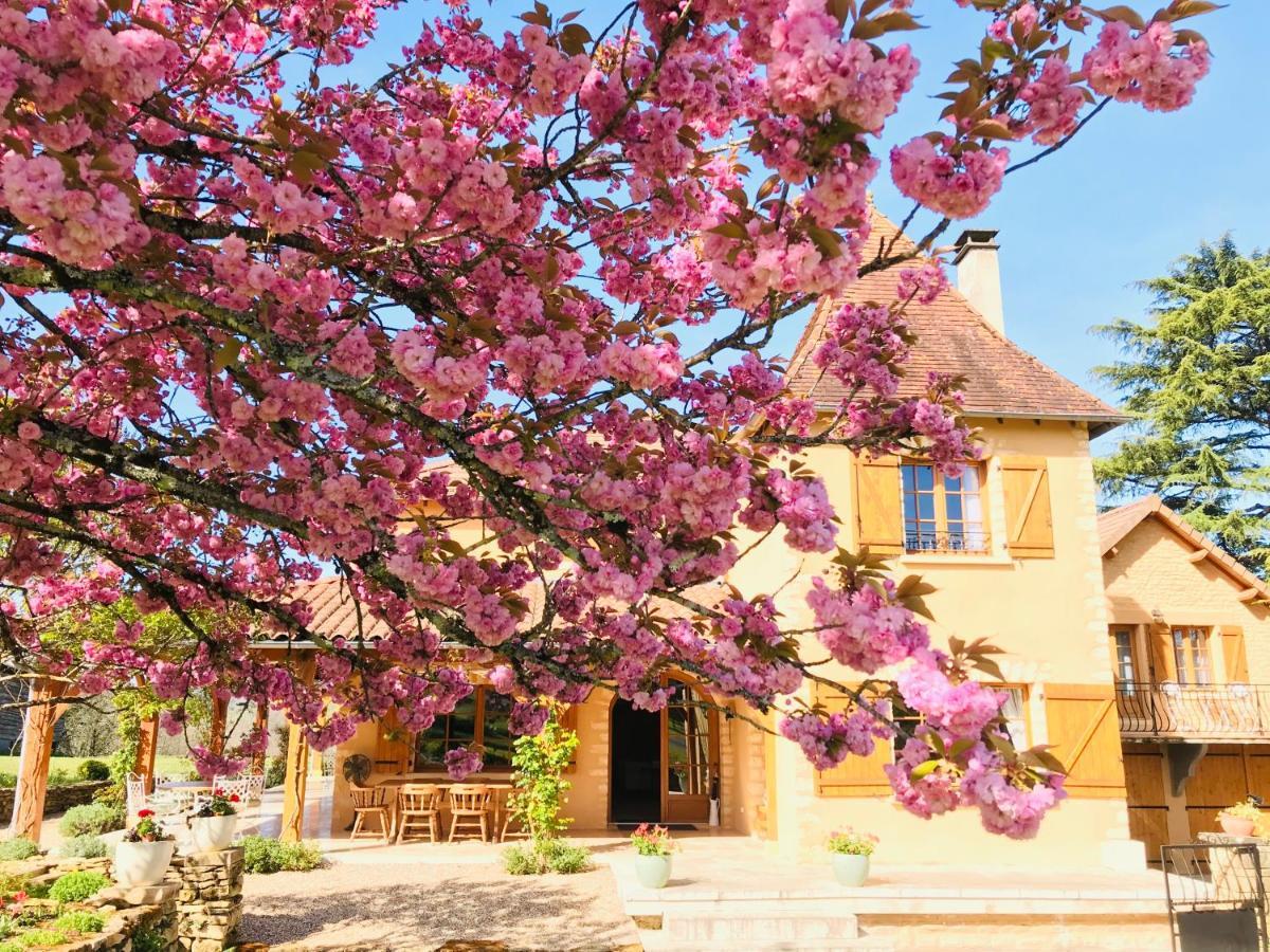 Les Cedres Du Linard, Chambres D'Hotes B&B Near Lascaux, Montignac, Sarlat-La-Caneda, Dordogne La Chapelle-Aubareil Zewnętrze zdjęcie